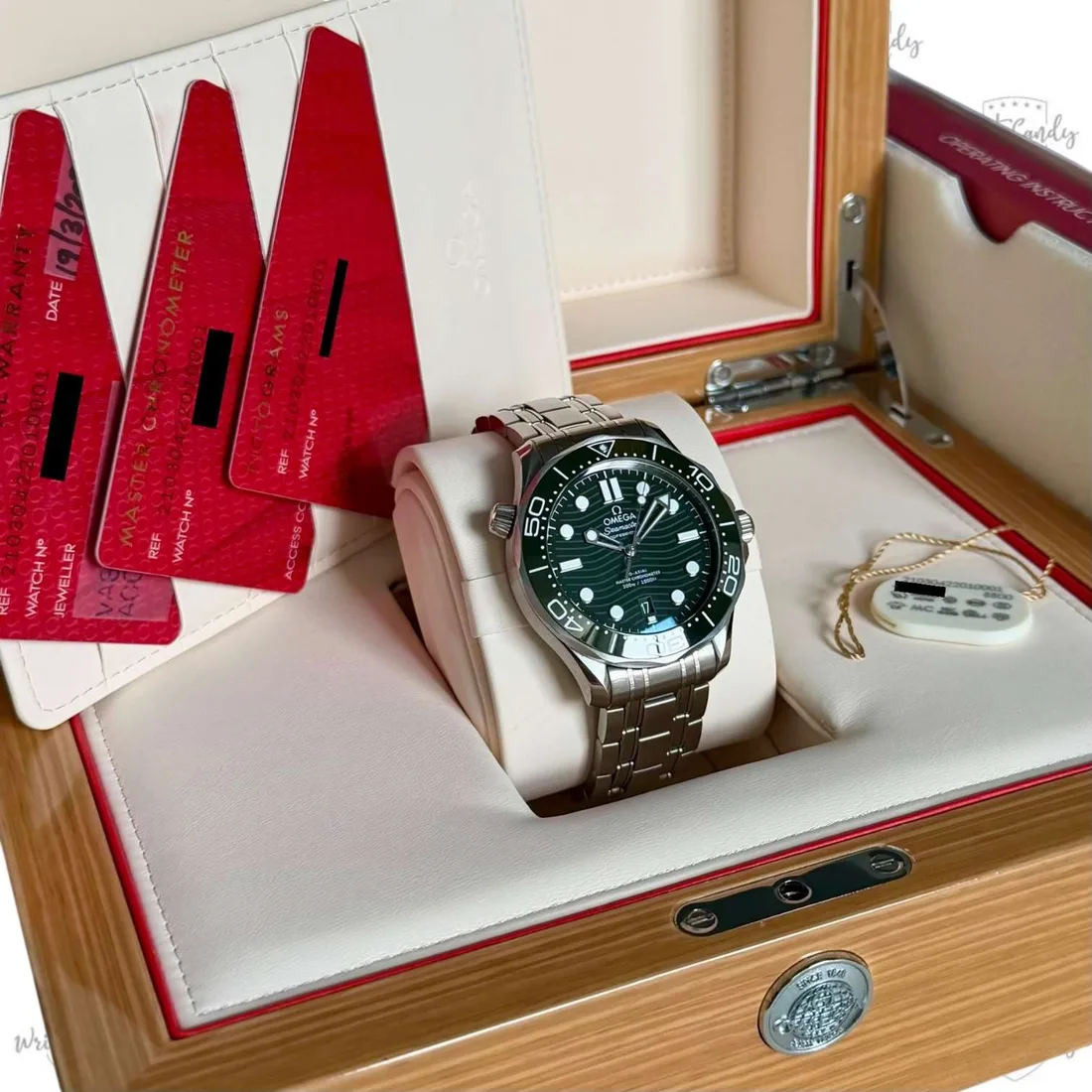 Omega Seamaster Diver 300M — detail 8