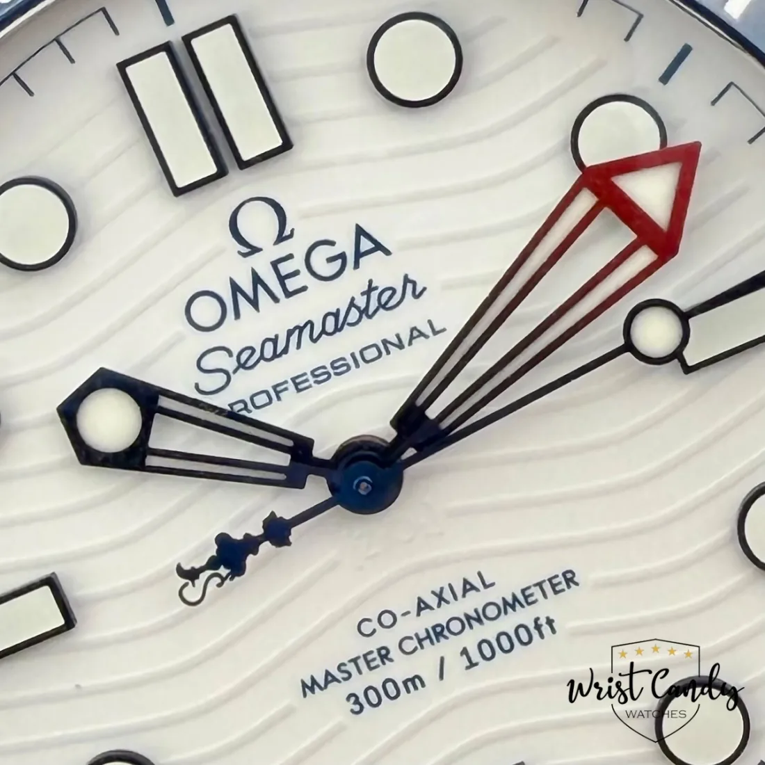 Omega Seamaster America’s Cup — detail