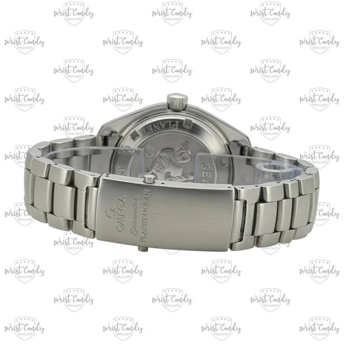 Omega Seamaster Planet Ocean 600M — detail